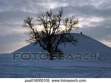 Stock Photography - Sweden, bare tree and snowy hill. Fotosearch