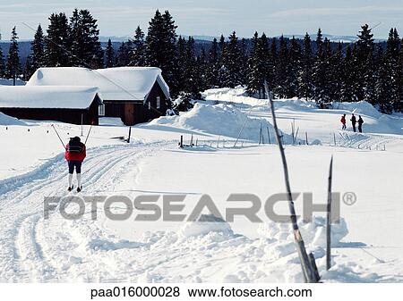 Sweden, cross country skier approaching snow-covered cabins View Large Photo Image Stock Photo - Sweden, cross country skier approaching snow-covered cabins. Fotosearch