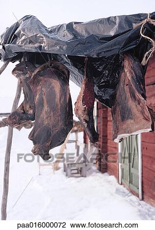 Sweden, meat hanging to dry outside house View Large Photo Image Stock Image - Sweden, meat hanging to dry outside house. Fotosearch