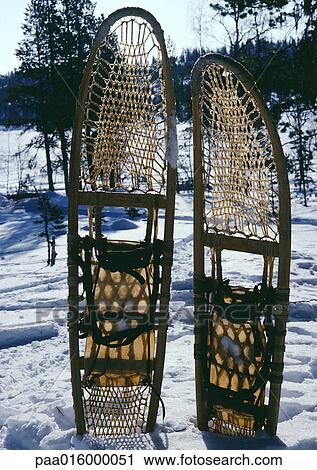 Sweden, snowshoes stuck into snow View Large Photo Image Stock Image - Sweden, snowshoes stuck into snow. Fotosearch