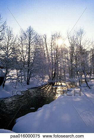 Sweden, snowy woods with stream and sunshine View Large Photo Image Stock Photography - Sweden, snowy woods with stream and sunshine. Fotosearch