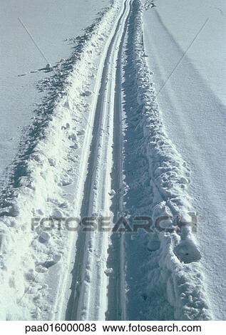 Sweden, tracks in snow View Large Photo Image Stock Image - Sweden, tracks in snow. Fotosearch