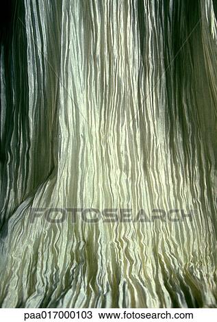 Taffeta, close-up, full frame View Large Photo Image Stock Image - Taffeta, close-up, full frame. Fotosearch