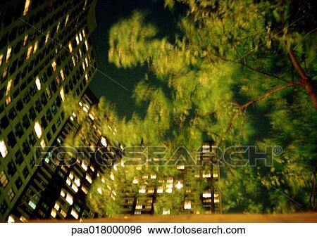 Building lights and tree at night, view from below, blurred. View Large Photo Image Stock Photograph - Building lights and tree at night, view from below, blurred.. Fotosearch