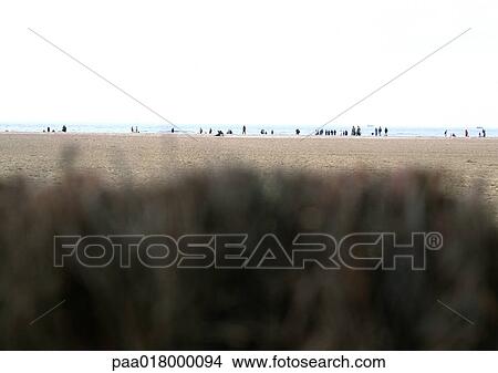 Picture - People at the beach in the distance.. Fotosearch
