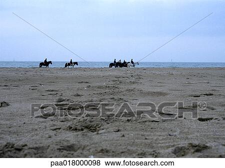 People riding horses on beach in distance. View Large Photo Image Stock Photo - People riding horses on beach in distance.. Fotosearch