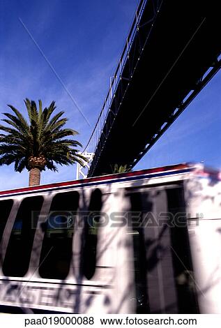 California, San Francisco, bus with palm tree in background, under bridge View Large Photo Image Stock Photo - California, San Francisco, bus with palm tree in background, under bridge. Fotosearch