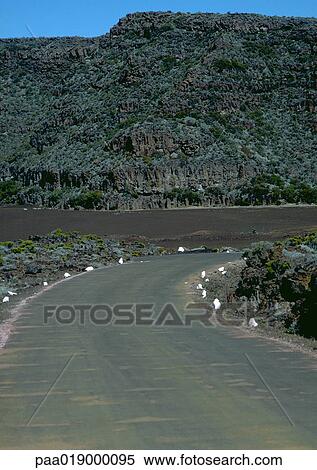 Curve in road through mountainous region. View Large Photo Image Stock Photography - Curve in road through mountainous region.. Fotosearch