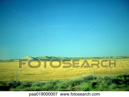 Field of rapeseed under blue sky View Large Photo Image Stock Photo - Field of rapeseed under blue sky. Fotosearch
