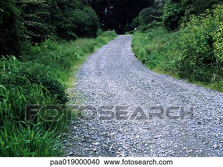 Narrow gravel road through woods View Large Photo Image Stock Image - Narrow gravel road through woods. Fotosearch