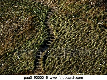 Old steps in grassy hill. View Large Photo Image Stock Photograph - Old steps in grassy hill.. Fotosearch