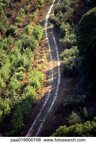 Stock Photo - Path through wooded area, birdseye view.. Fotosearch
