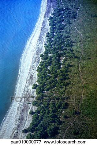 Road along coast, birdseye view. View Large Photo Image Stock Photo - Road along coast, birdseye view.. Fotosearch