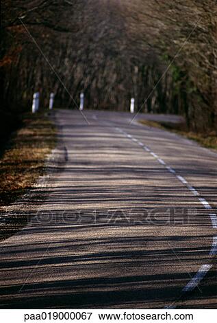Road through woods View Large Photo Image Stock Photo - Road through woods. Fotosearch