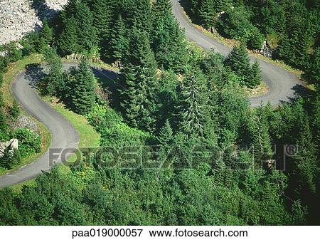 Road winding through forest area, aerial view View Large Photo Image Stock Photo - Road winding through forest area, aerial view. Fotosearch