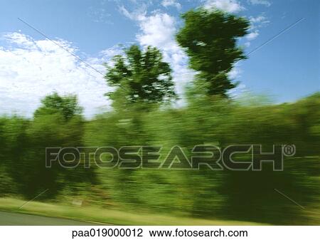 Trees on side of road, blurry. View Large Photo Image Stock Image - Trees on side of road, blurry.. Fotosearch