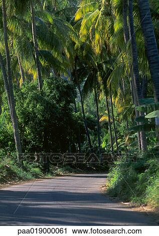 Wooded road. View Large Photo Image Stock Image - Wooded road.. Fotosearch
