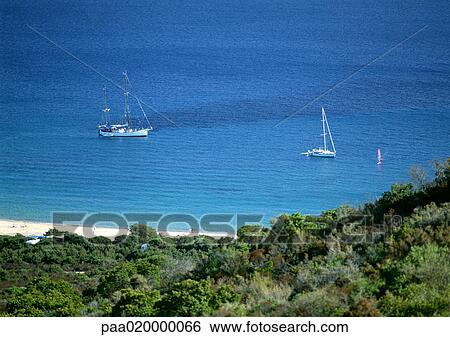 Corsica, boats in harbor View Large Photo Image Stock Photograph - Corsica, boats in harbor. Fotosearch