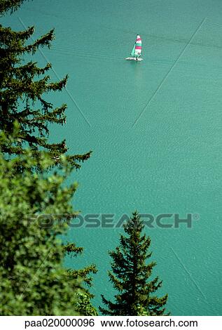 Stock Photograph - Evergreen trees and sailboat at sea. Fotosearch