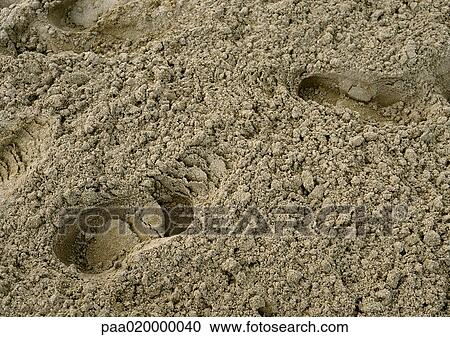 Stock Image - Footsteps in sand, close-up. Fotosearch
