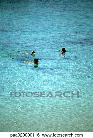 France, Corsica, people snorkling in sea View Large Photo Image Stock Photograph - France, Corsica, people snorkling in sea. Fotosearch