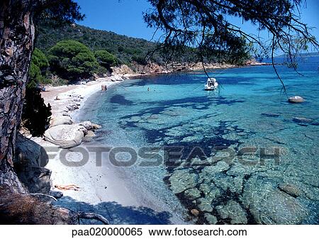 Stock Photography - France, Corsica, seashore. Fotosearch