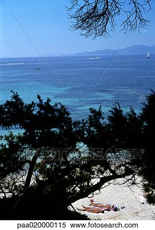 People sunbathing on beach, seen through trees View Large Photo Image Stock Photography - People sunbathing on beach, seen through trees. Fotosearch