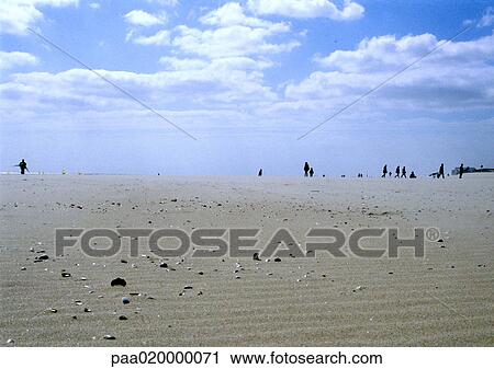 Sandy beach View Large Photo Image Stock Image - Sandy beach. Fotosearch