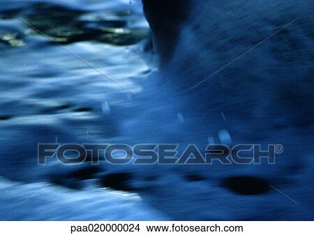 Picture - Seafoam, close-up. Fotosearch