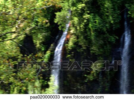 Stock Image - Vegetation, blurred. Fotosearch