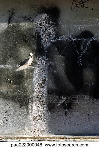 I, text, painted. View Large Photo Image Stock Photo - I, text, painted.. Fotosearch