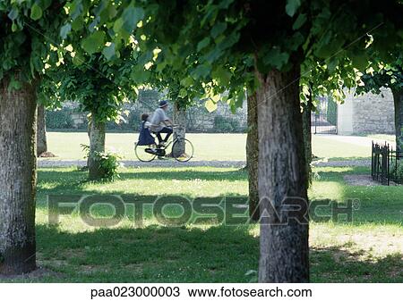People riding through park on bicycle View Large Photo Image Stock Image - People riding through park on bicycle. Fotosearch