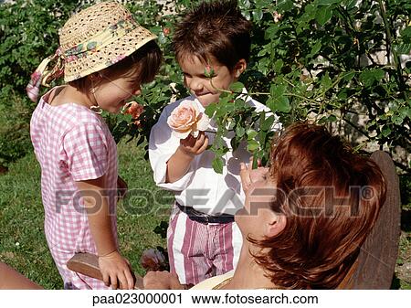 Stock Image - Young boy holding rose for young girl to smell in garden, mother watching. . Fotosearch