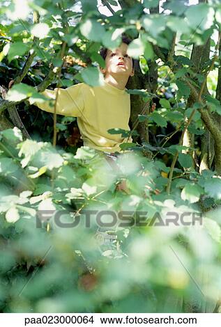 Young boy playing in the woods. View Large Photo Image Picture - Young boy playing in the woods.. Fotosearch