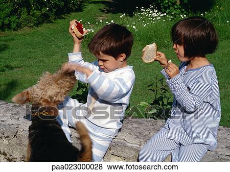 Stock Photo - Young children playing outside with dog.. Fotosearch