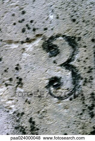 Stock Photo - 3 text on stone.. Fotosearch