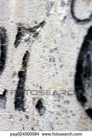 Picture - 7 text, painted. Fotosearch