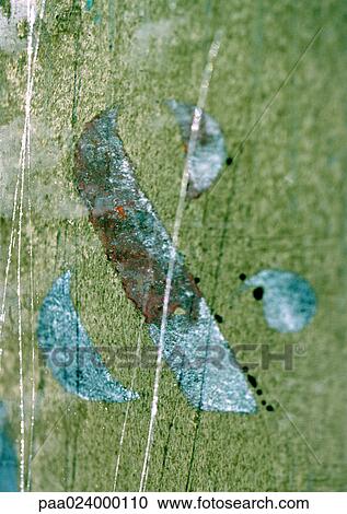 & sign stenciled on scratched surface View Large Photo Image Stock Image - & sign stenciled on scratched surface. Fotosearch