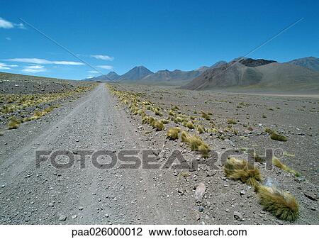Stock Image - Chile, Antofagasta, gravel road through arid landscape, mountains in background. Fotosearch