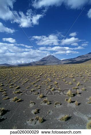 Chile, arid landscape with mountains in distance View Large Photo Image Stock Photo - Chile, arid landscape with mountains in distance. Fotosearch