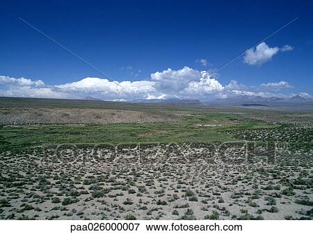 Chile, El Norte Grande, Altiplano, Lauca National Park, flatland with low grasses, clouds on the horizon View Large Photo Image Stock Photo - Chile, El Norte Grande, Altiplano, Lauca National Park, flatland with low grasses, clouds on the horizon. Fotosearch