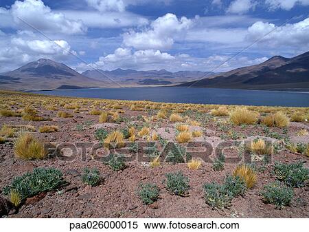 Stock Photography - Chile, El Norte Grande, arid landscape with mountains and small lake.. Fotosearch