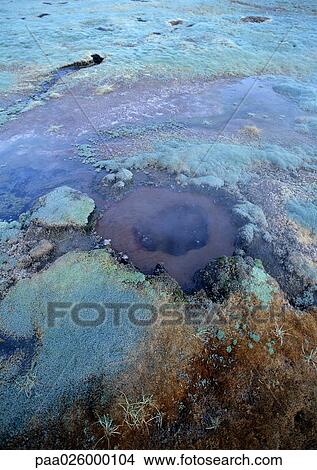 Chile, El Norte Grande, El Tatio Geyser View Large Photo Image Picture - Chile, El Norte Grande, El Tatio Geyser. Fotosearch