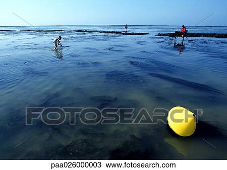 France, Normandy, people fishing at lowtide View Large Photo Image Stock Image - France, Normandy, people fishing at lowtide. Fotosearch