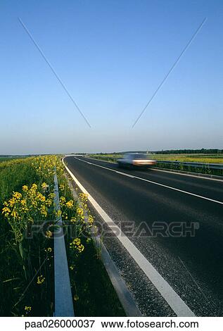 France, Picardy, rapeseed growing on side of rural road with car, blurred motion View Large Photo Image Stock Photo - France, Picardy, rapeseed growing on side of rural road with car, blurred motion. Fotosearch