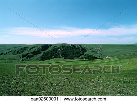 Mongolia, grassy plain with grass covered cliff. View Large Photo Image Stock Image - Mongolia, grassy plain with grass covered cliff.. Fotosearch