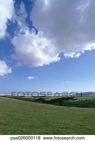 New Zealand, Cape Reinga, green hills and cloudy sky. View Large Photo Image Stock Photo - New Zealand, Cape Reinga, green hills and cloudy sky.. Fotosearch