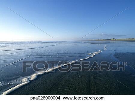 New Zealand, Ninety Mile Beach, shorescape View Large Photo Image Picture - New Zealand, Ninety Mile Beach, shorescape. Fotosearch