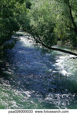 New Zealand, river through trees. View Large Photo Image Stock Image - New Zealand, river through trees.. Fotosearch