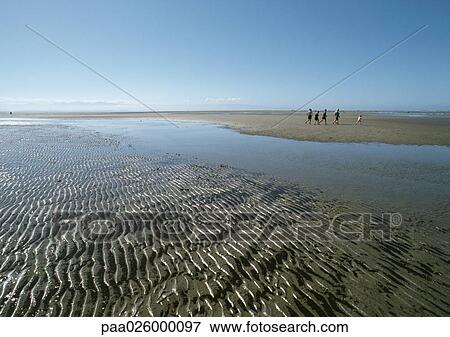 New Zealand, shore with rippled sand and pool of water. View Large Photo Image Stock Photo - New Zealand, shore with rippled sand and pool of water.. Fotosearch